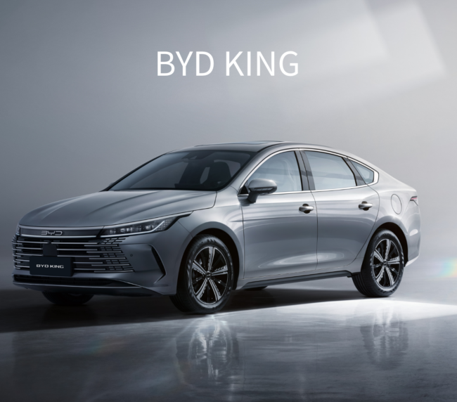 BYD KING