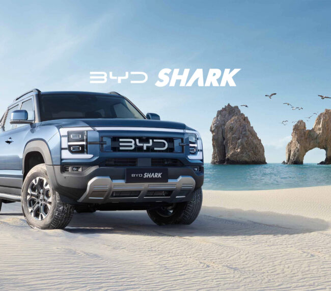 byd shark